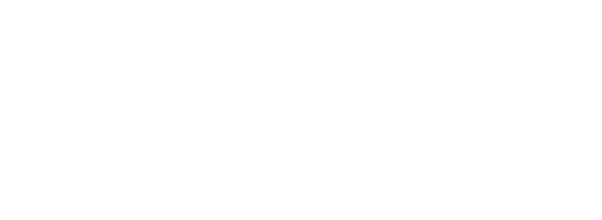 CUBIC VOCAL SCHOOL